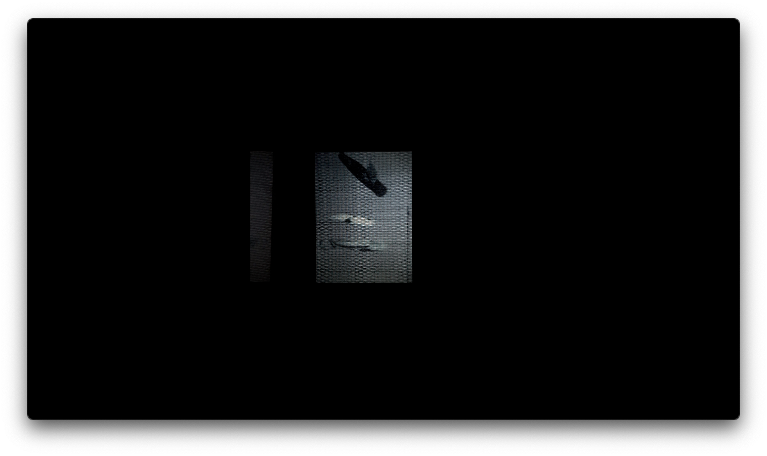shadows (2024) - still shadows (2024) - still